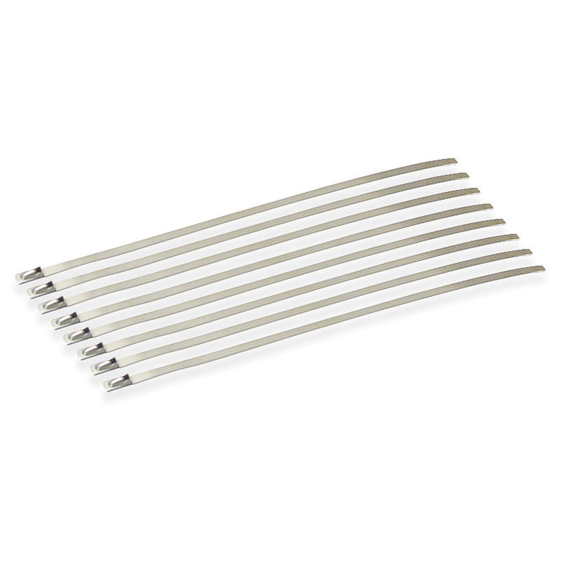 DEI Tie Strap and Clip 10201; 8.000 in. Natural Stainless Steel, 8pcs